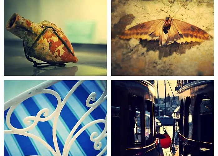 Szálloda Gurup Bodrum